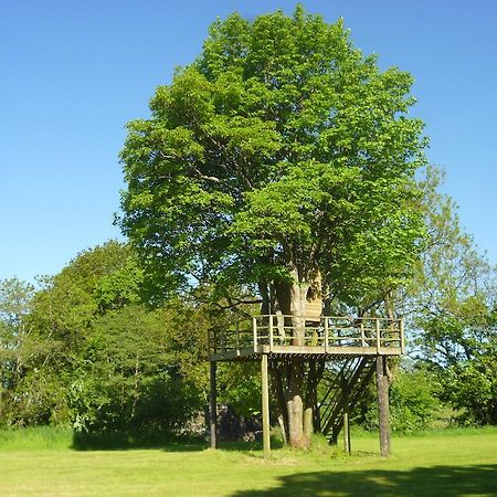 Newmoor Park Otel Launceston Dış mekan fotoğraf