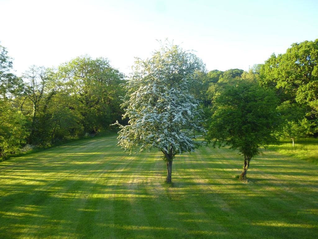 Newmoor Park Otel Launceston Dış mekan fotoğraf
