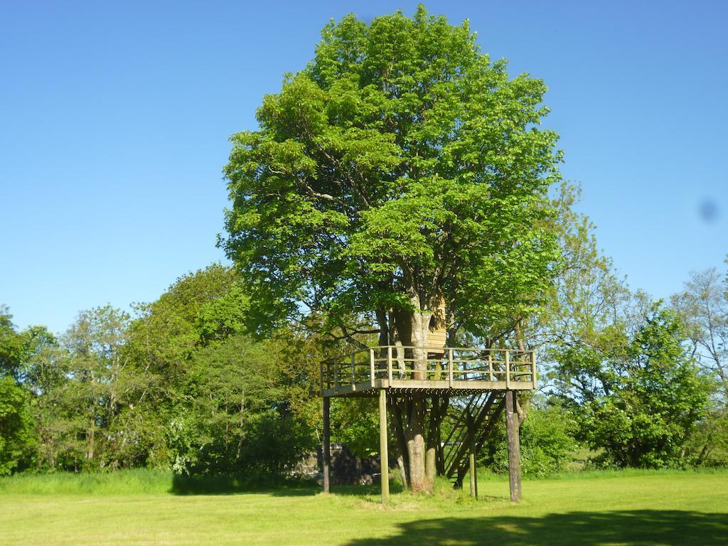 Newmoor Park Otel Launceston Dış mekan fotoğraf