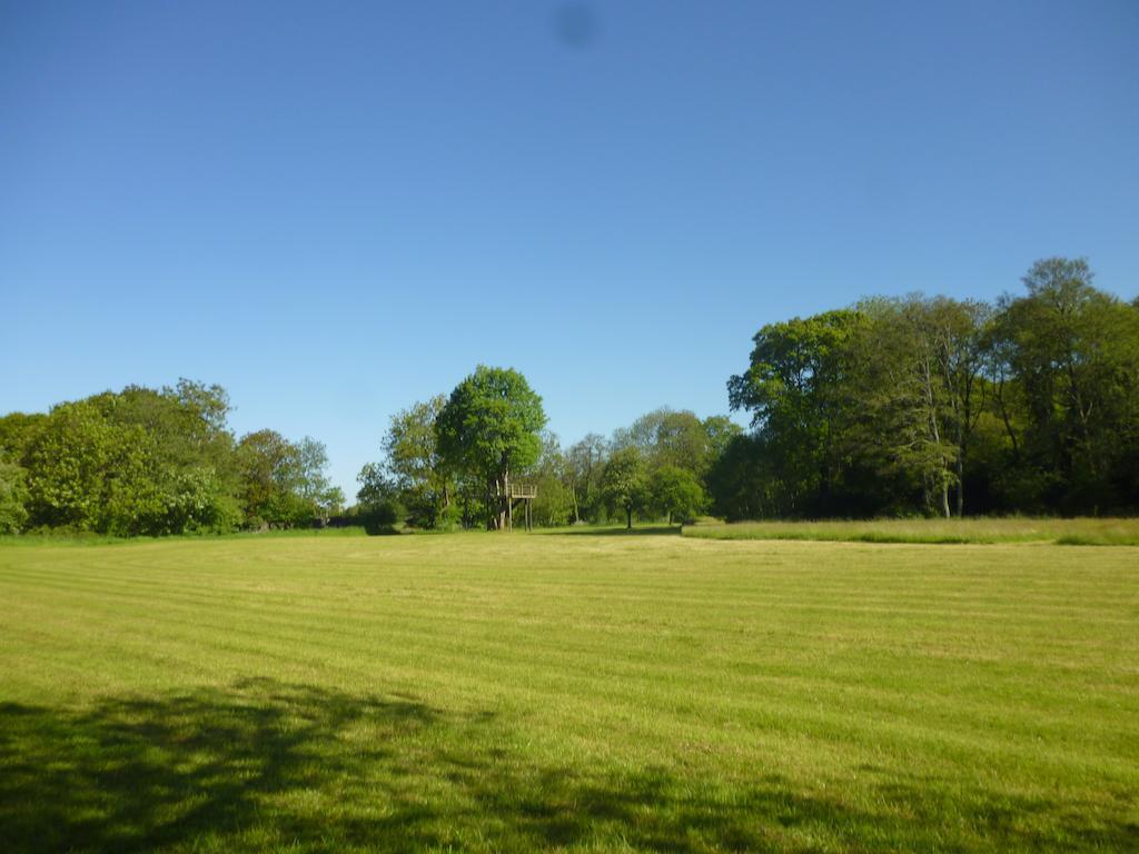 Newmoor Park Otel Launceston Dış mekan fotoğraf