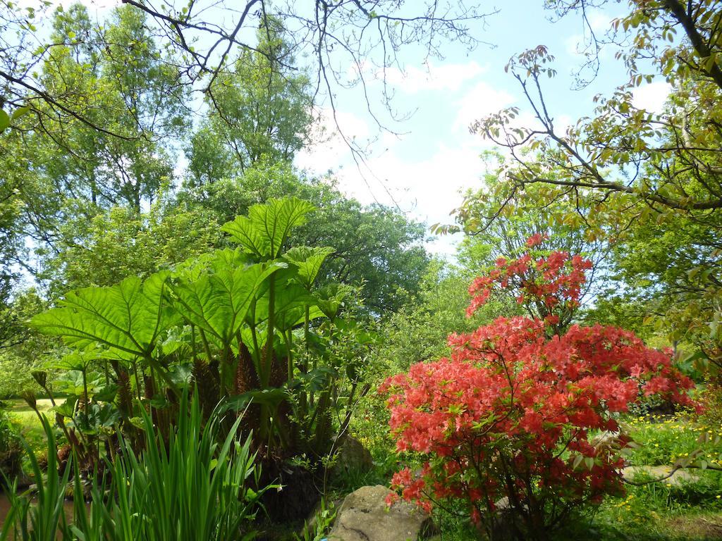 Newmoor Park Otel Launceston Dış mekan fotoğraf