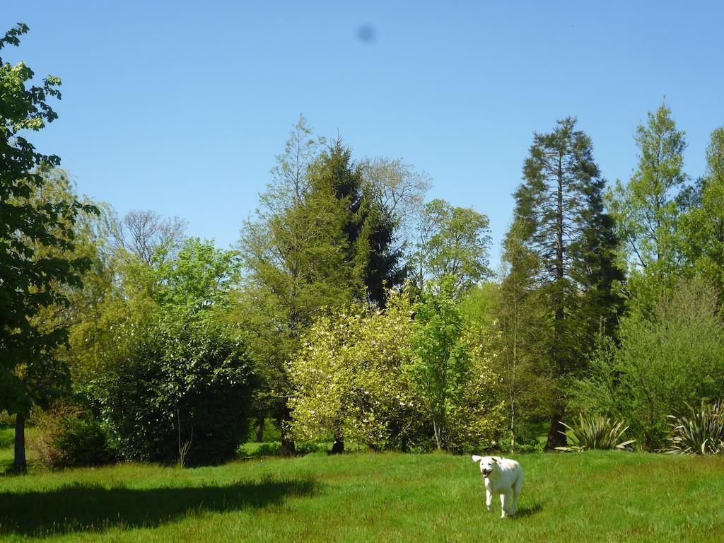 Newmoor Park Otel Launceston Dış mekan fotoğraf