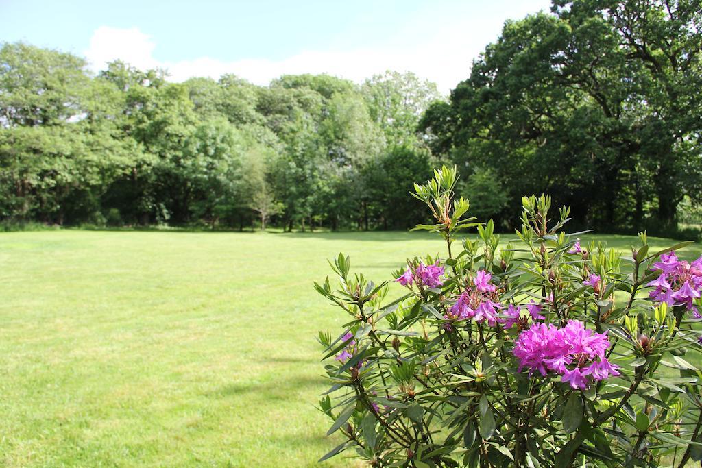 Newmoor Park Otel Launceston Dış mekan fotoğraf