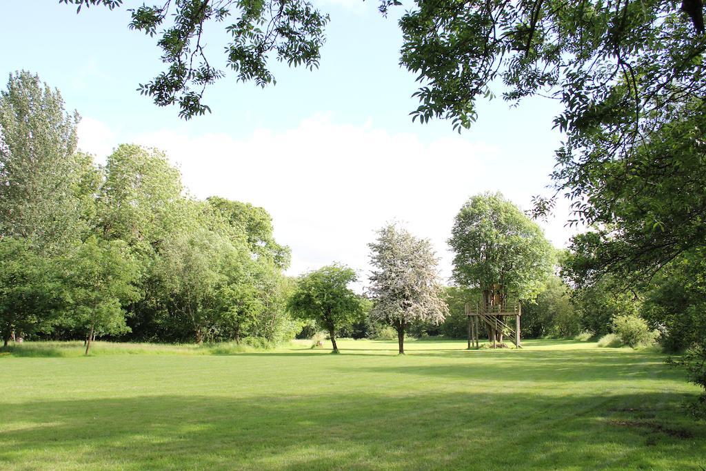 Newmoor Park Otel Launceston Dış mekan fotoğraf
