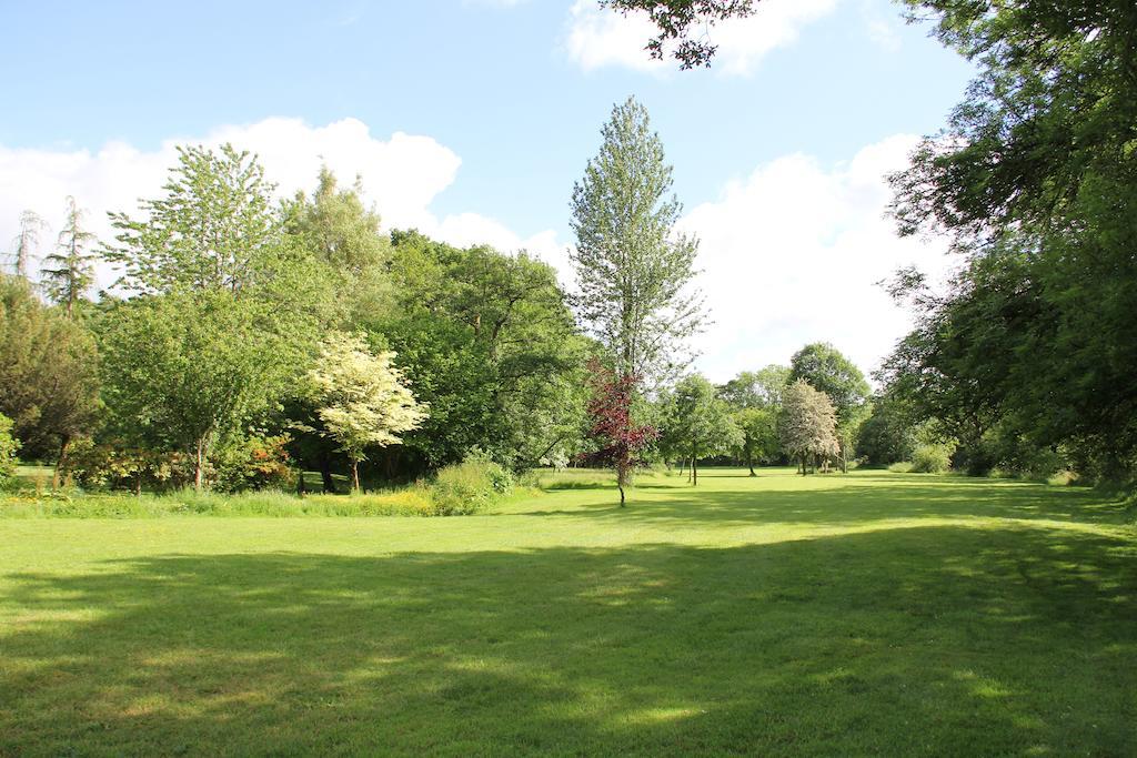 Newmoor Park Otel Launceston Dış mekan fotoğraf