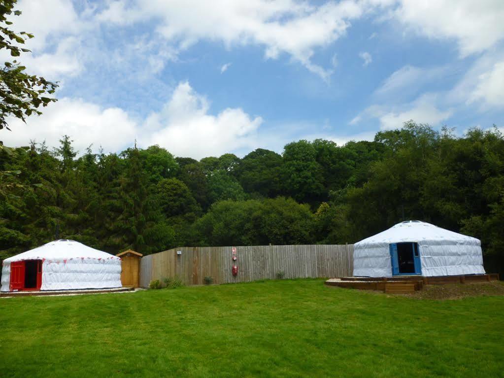 Newmoor Park Otel Launceston Dış mekan fotoğraf