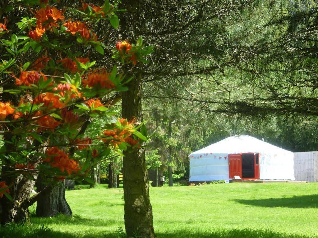 Newmoor Park Otel Launceston Dış mekan fotoğraf