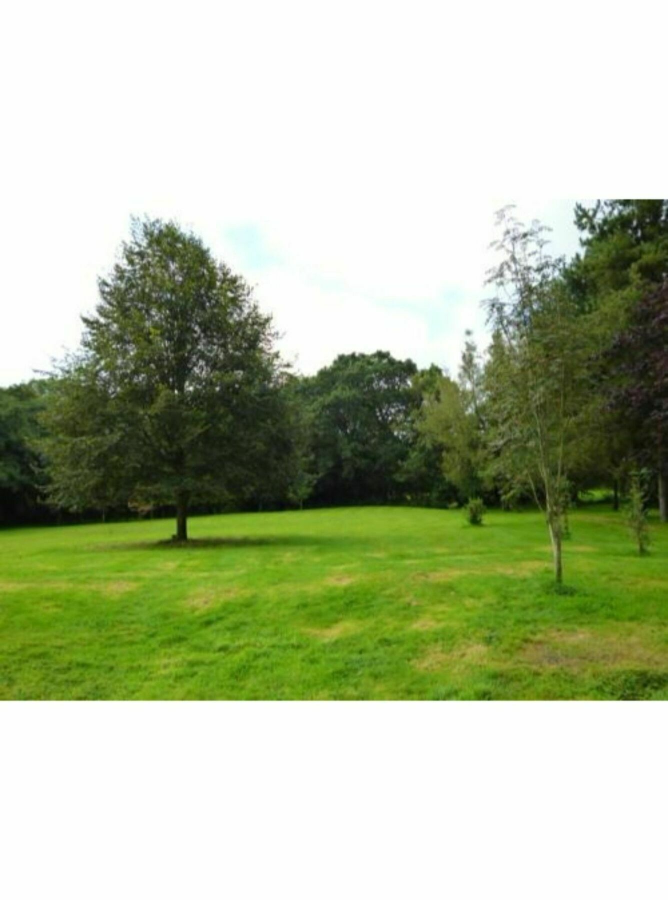 Newmoor Park Otel Launceston Dış mekan fotoğraf