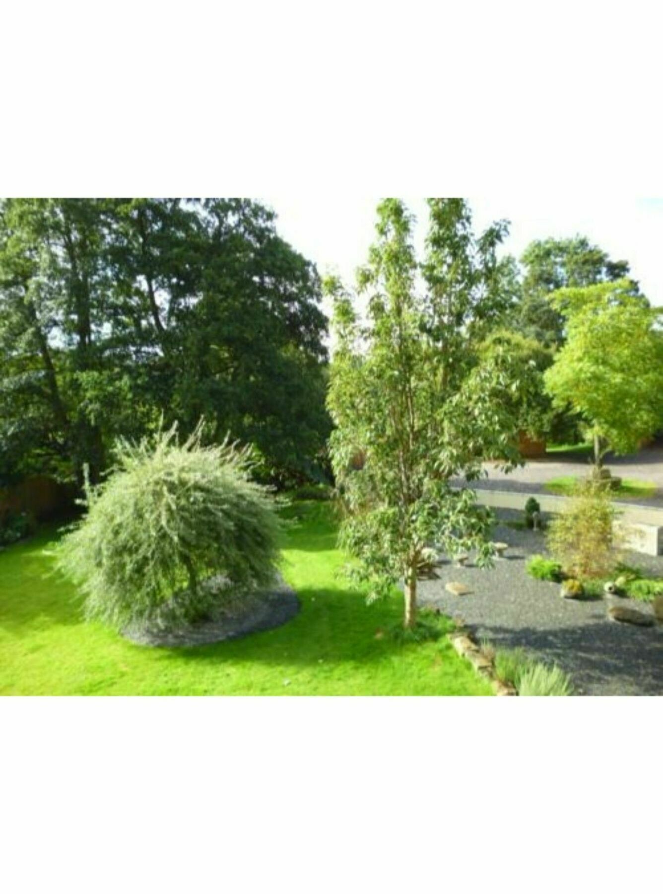 Newmoor Park Otel Launceston Dış mekan fotoğraf